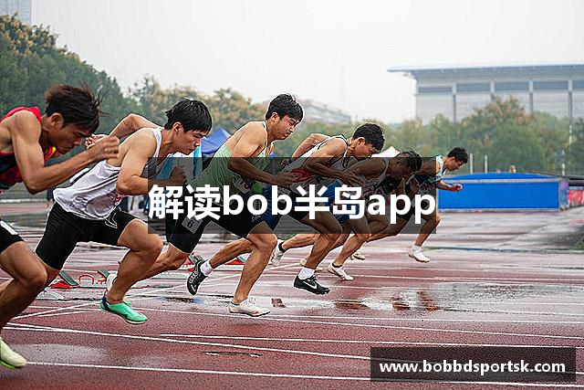 解读bob半岛app